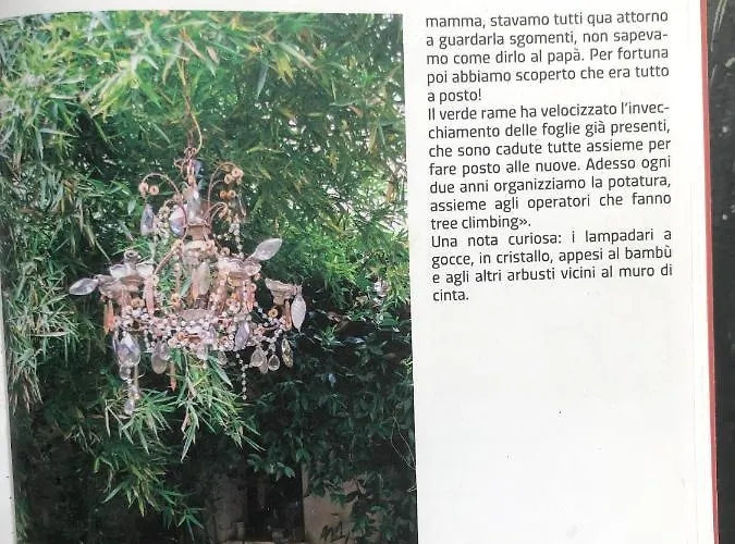 L'ape Regina דירה פררה