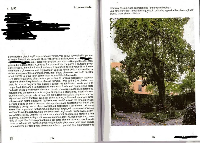 דירה L'ape Regina