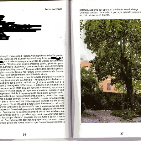 Appartement L'ape Regina