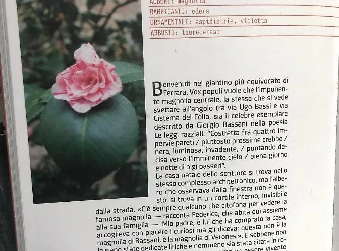 L'ape Regina Apartment Ferrara